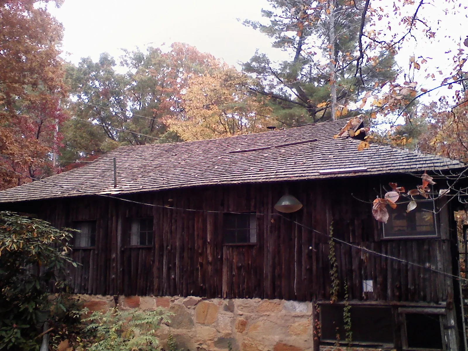 Weathered wood shake roof on a rustic board sided cabin in Holbrook